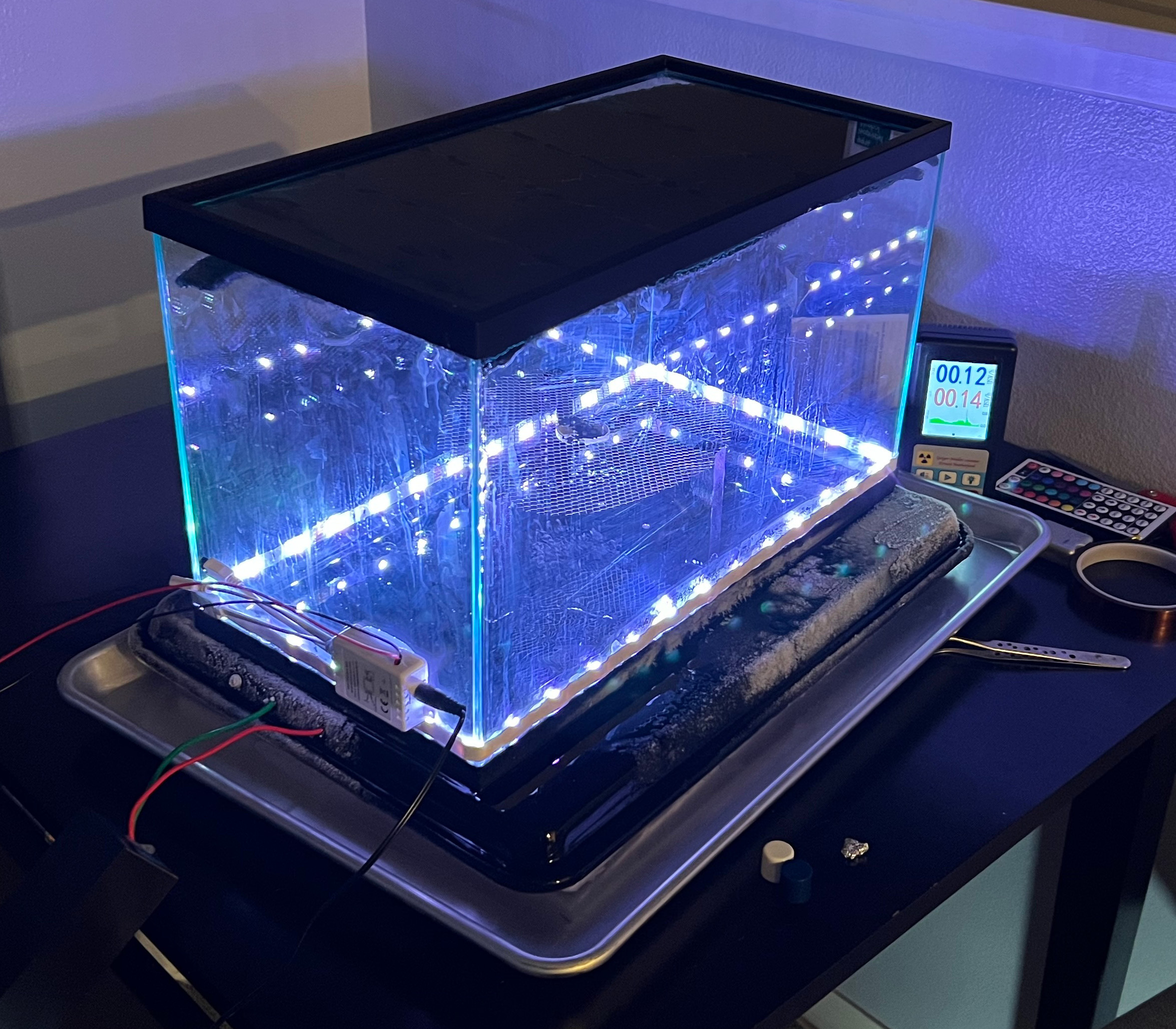 Peltier cloud chamber cover image