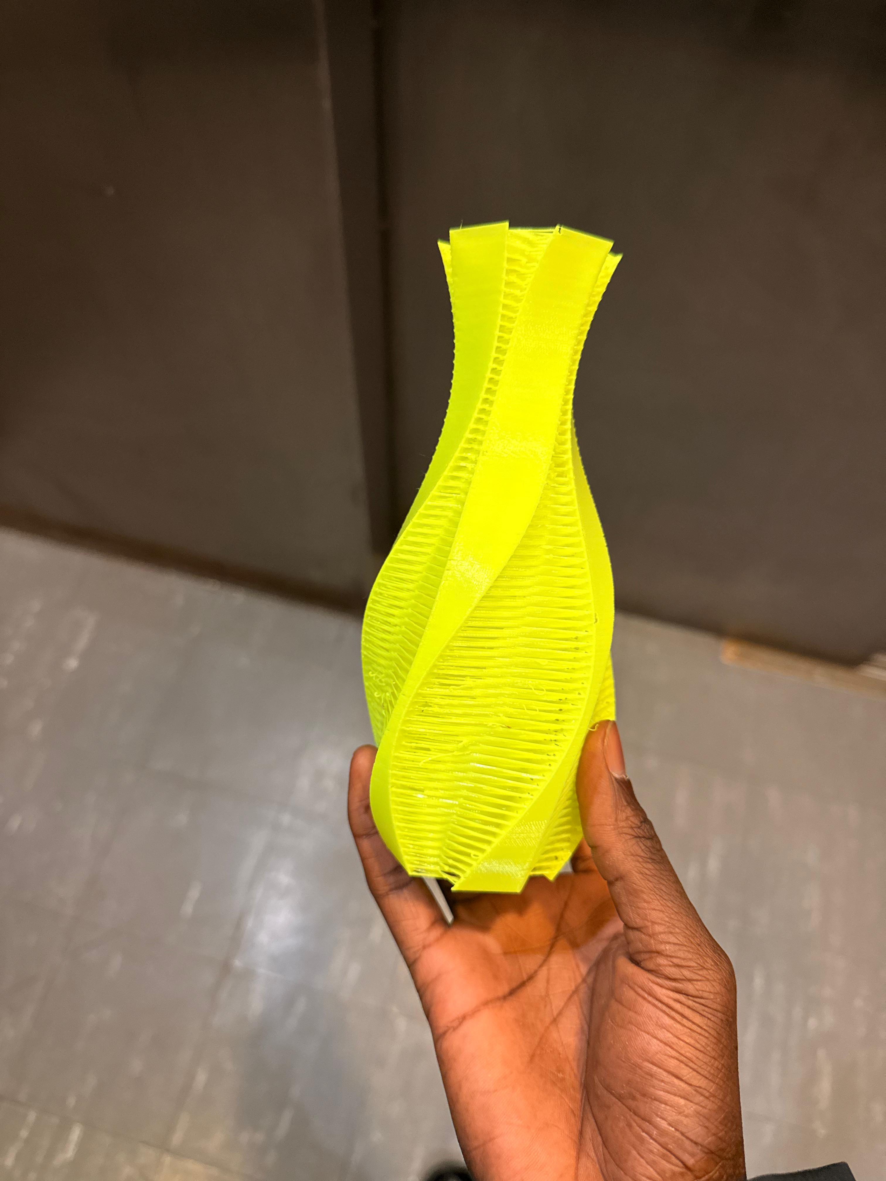 Twisted vase print